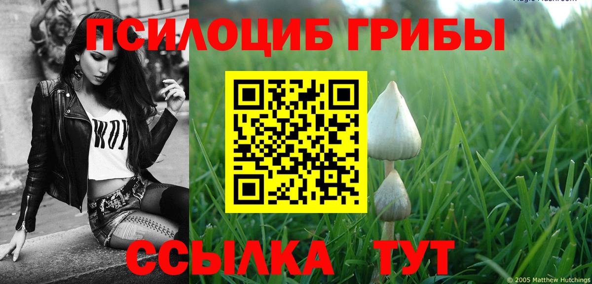 Галлюциногенные грибы мухоморы Донской