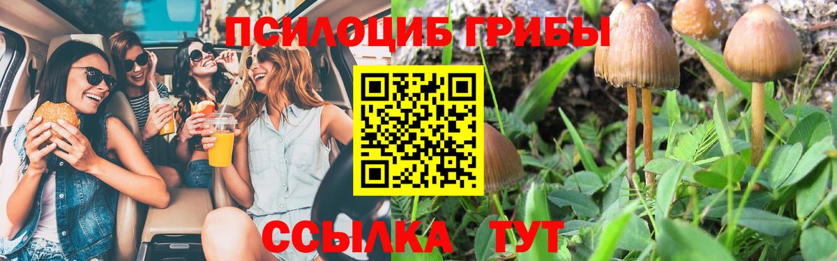 Донской  Псилоцибиновые грибы Magic Shrooms  Вход с VPN 